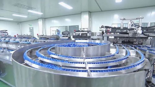 內培外引打造高質量產業體系 助推成武縣域經濟高質量發展