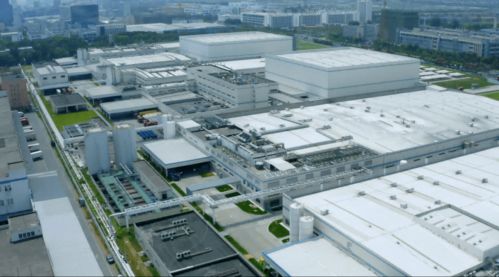 方便食品市場轉(zhuǎn)入細(xì)分領(lǐng)域,頭部企業(yè)如何破局